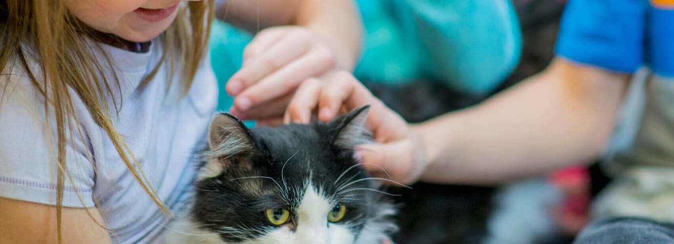 5 Astuces Pour Gerer Une Allergie Au Chat Ou Au Chien Lotus 5 Astuces Pour Gerer Une Allergie Au Chat Ou Au Chien Lotus