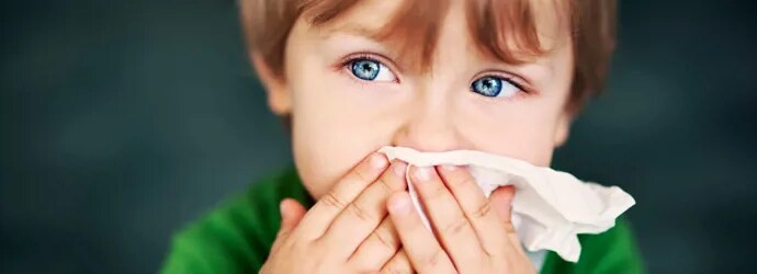 allergie poussière maison