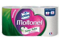 lotus moltonel sans tube 6