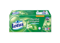 lotus menthol eucalyptol 15