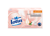 lotus lotion boite