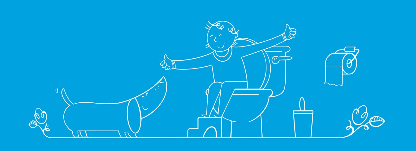 Les Differents Types De Selles Et Leur Signification Lotus Les Differents Types De Selles Et Leur Signification Lotus