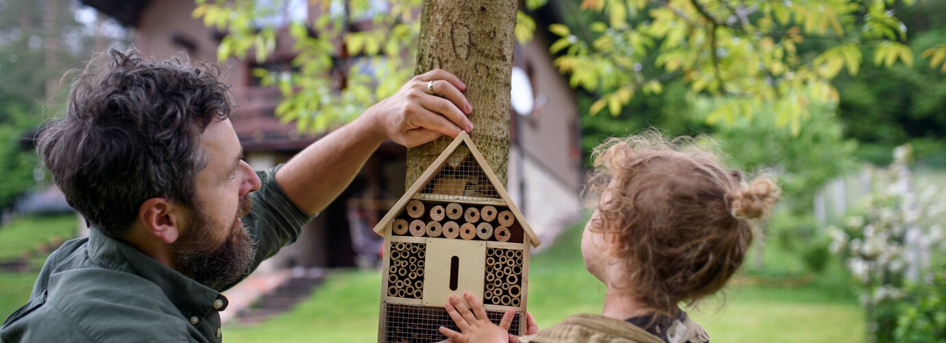 Comment fabriquer un hôtel à insectes