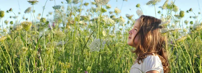 Une jeune fille semble avoir besoin de remèdes contre le rhume des foins comme elle est debout par une journée ensoleillée dans un champ plein de hautes fleurs sauvages