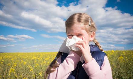 Nuori tyttö niistää nenäänsä pellolla ja saattaa kärsiä siitepölyallergian ja muiden allergioiden ristireaktiosta.